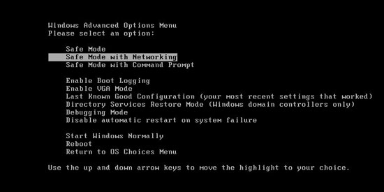 safe mode with networking for Windows XP Vista and Win 7