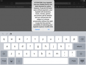iPhone iPad internet scam message blocking